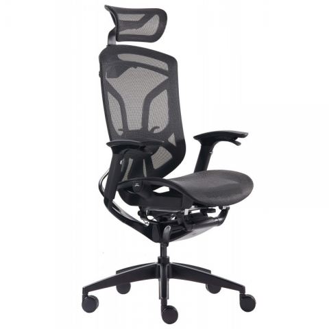Премиум эргономичное кресло GT Chair Dvary X, чёрный
