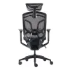 Премиум эргономичное кресло GT Chair Dvary X, чёрный