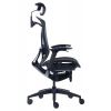 Премиум эргономичное кресло GT Chair Dvary X, чёрный