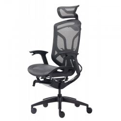 Премиум эргономичное кресло GT Chair Dvary X, чёрный