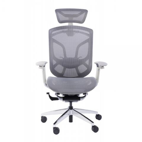 Премиум эргономичное кресло GT Chair Dvary X, серый