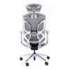 Премиум эргономичное кресло GT Chair Dvary X, серый