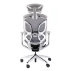 Премиум эргономичное кресло GT Chair Dvary X, серый