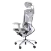 Премиум эргономичное кресло GT Chair Dvary X, серый