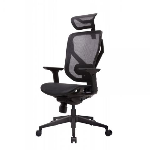 Эргономичное кресло GT Chair VIDA M, черный