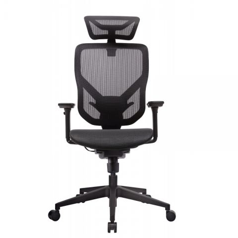 Эргономичное кресло GT Chair VIDA M, черный