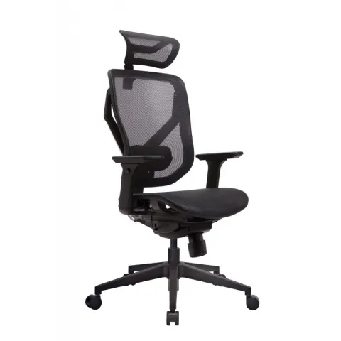 Эргономичное кресло GT Chair VIDA M, черный
