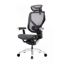 Эргономичное кресло GT Chair VIDA X, черный