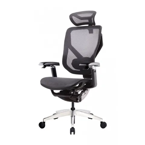 Эргономичное кресло GT Chair VIDA X, черный