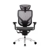 Эргономичное кресло GT Chair VIDA X, черный