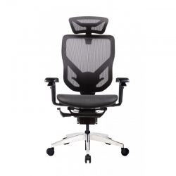 Эргономичное кресло GT Chair VIDA X, черный