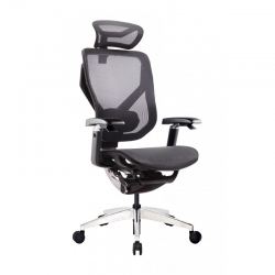 Эргономичное кресло GT Chair VIDA X, черный