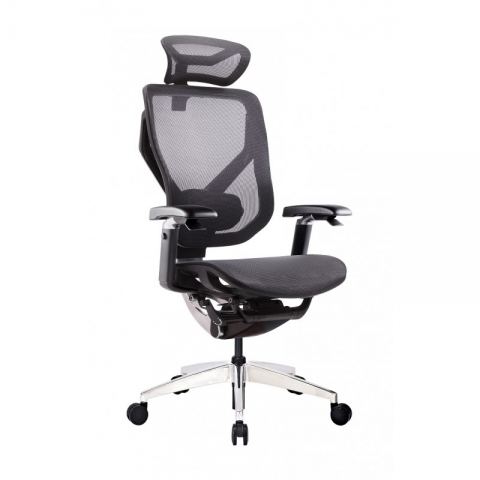 Эргономичное кресло GT Chair VIDA X, черный