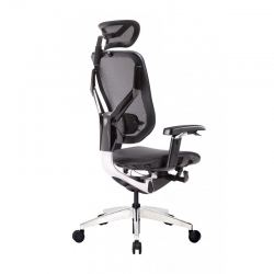Эргономичное кресло GT Chair VIDA X, черный