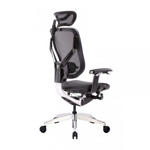 Эргономичное кресло GT Chair VIDA X, черный