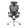 Эргономичное кресло GT Chair VIDA X, черный