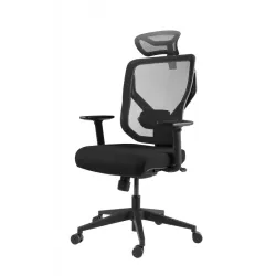 Эргономичное кресло GT Chair VIDA Z, черный