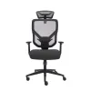 Эргономичное кресло GT Chair VIDA Z, черный