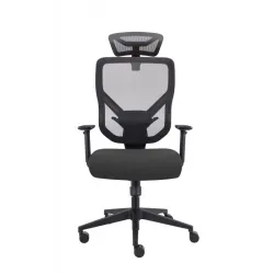 Эргономичное кресло GT Chair VIDA Z, черный