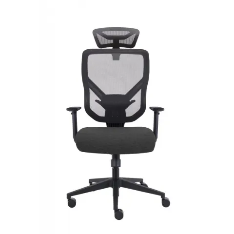 Эргономичное кресло GT Chair VIDA Z, черный