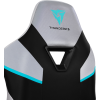 Кресло компьютерное игровое ThunderX3 TC5 Arctic White