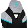Кресло компьютерное игровое ThunderX3 TC5 Arctic White