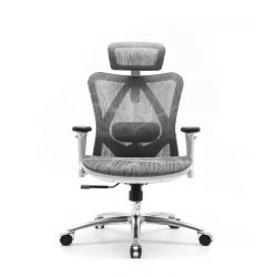 Кресло SIHOO M57 (2D поясничный упор, сетка, серый)