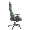 Геймерское кресло Everprof Lotus S9 Экокожа Зеленый/Черный