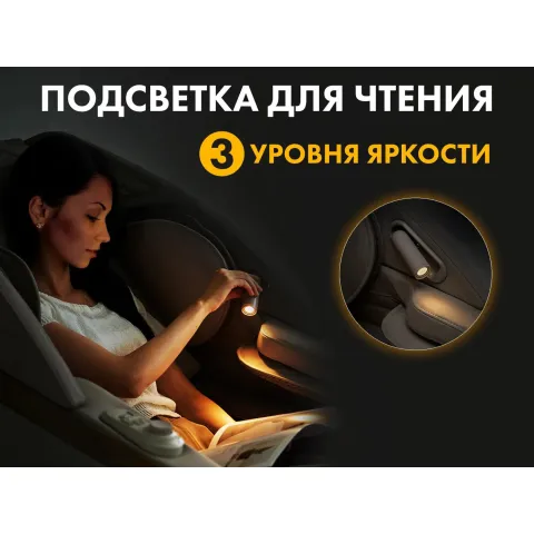 Массажное кресло FUJIMO  氣 FLEXOR F500 Brown