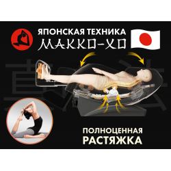 Массажное кресло FUJIMO  氣 FLEXOR F500 Brown