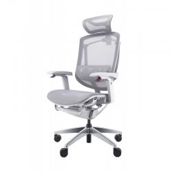 Премиум эргономичное кресло GT Chair Marrit Pro X, серый