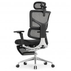 Кресло с подножкой FALTO SAIL 2 (динамичный поясничный упор, подлокотники 6D(360), сетка, черный)