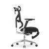 Кресло с подножкой FALTO SAIL 2 (динамичный поясничный упор, подлокотники 6D(360), сетка, черный)