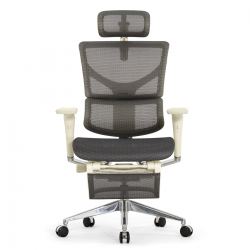 Кресло с подножкой FALTO SAIL 2 (динамичный поясничный упор, подлокотники 6D(360), сетка, светлый)