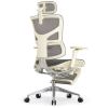 Кресло с подножкой FALTO SAIL 2 (динамичный поясничный упор, подлокотники 6D(360), сетка, светлый)