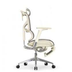 Кресло с подножкой FALTO SAIL 2 (динамичный поясничный упор, подлокотники 6D(360), сетка, светлый)