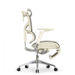 Кресло с подножкой FALTO SAIL 2 (динамичный поясничный упор, подлокотники 6D(360), сетка, светлый)