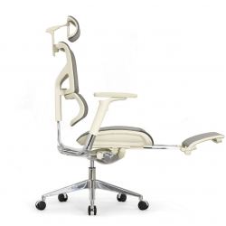 Кресло с подножкой FALTO SAIL 2 (динамичный поясничный упор, подлокотники 6D(360), сетка, светлый)