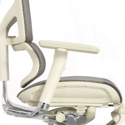 Кресло с подножкой FALTO SAIL 2 (динамичный поясничный упор, подлокотники 6D(360), сетка, светлый)