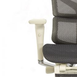 Кресло с подножкой FALTO SAIL 2 (динамичный поясничный упор, подлокотники 6D(360), сетка, светлый)