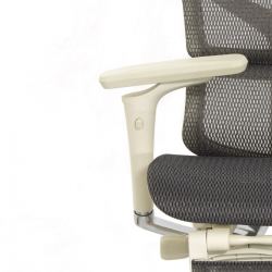 Кресло с подножкой FALTO SAIL 2 (динамичный поясничный упор, подлокотники 6D(360), сетка, светлый)