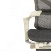 Кресло с подножкой FALTO SAIL 2 (динамичный поясничный упор, подлокотники 6D(360), сетка, светлый)