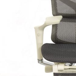 Кресло с подножкой FALTO SAIL 2 (динамичный поясничный упор, подлокотники 6D(360), сетка, светлый)