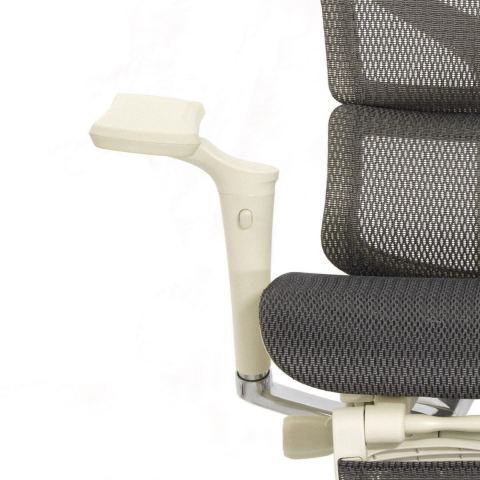 Кресло с подножкой FALTO SAIL 2 (динамичный поясничный упор, подлокотники 6D(360), сетка, светлый)