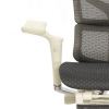 Кресло с подножкой FALTO SAIL 2 (динамичный поясничный упор, подлокотники 6D(360), сетка, светлый)