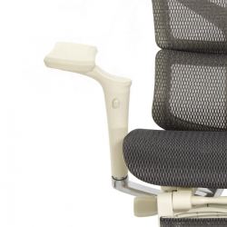 Кресло с подножкой FALTO SAIL 2 (динамичный поясничный упор, подлокотники 6D(360), сетка, светлый)