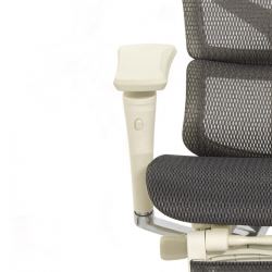 Кресло с подножкой FALTO SAIL 2 (динамичный поясничный упор, подлокотники 6D(360), сетка, светлый)