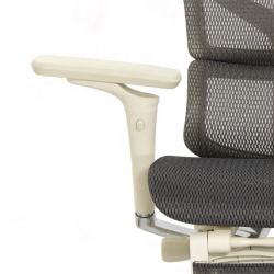 Кресло с подножкой FALTO SAIL 2 (динамичный поясничный упор, подлокотники 6D(360), сетка, светлый)