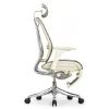 Кресло с подножкой FALTO SPRING 2 (поясничный валик, подлокотники 6D(360), сетка, светлый)