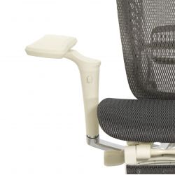 Кресло с подножкой FALTO SPRING 2 (поясничный валик, подлокотн 6D(360), сетка, светлый)